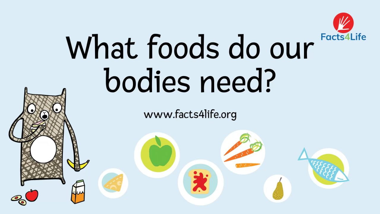 Early Years Resources - Facts4Life